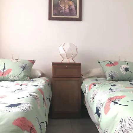Shg Paraiso Centro