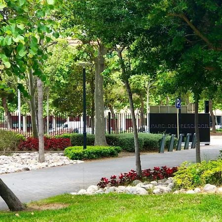 Shg Paraiso Centro